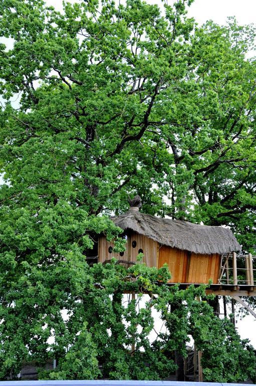 Отель Au Relais Du Gue De Selle Mezangers Экстерьер фото
